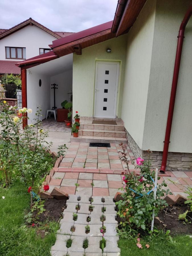 Casa Tenciu Sînpetru Eksteriør bilde