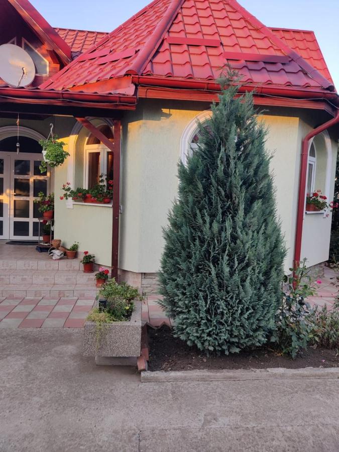 Casa Tenciu Sînpetru Eksteriør bilde